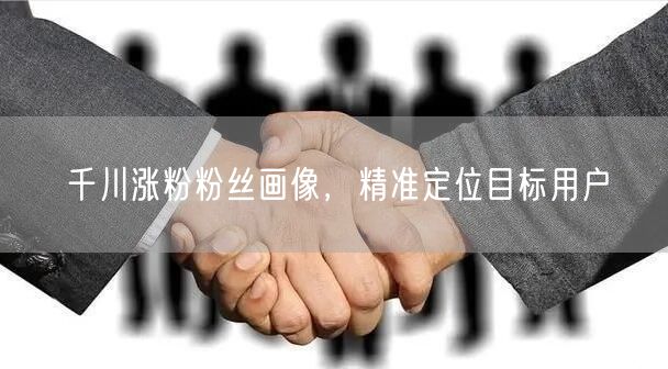 千川涨粉粉丝画像，精准定位目标用户