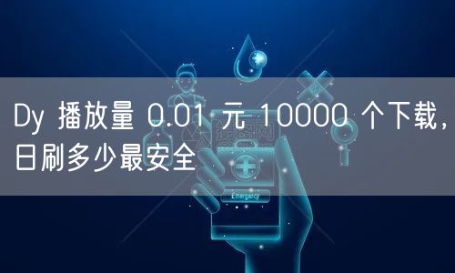 Dy 播放量 0.01 元 10000 