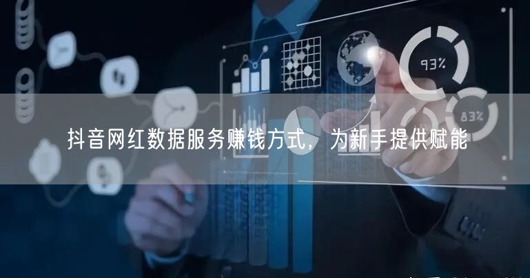 抖音网红数据服务赚钱方式，为新手提供赋能