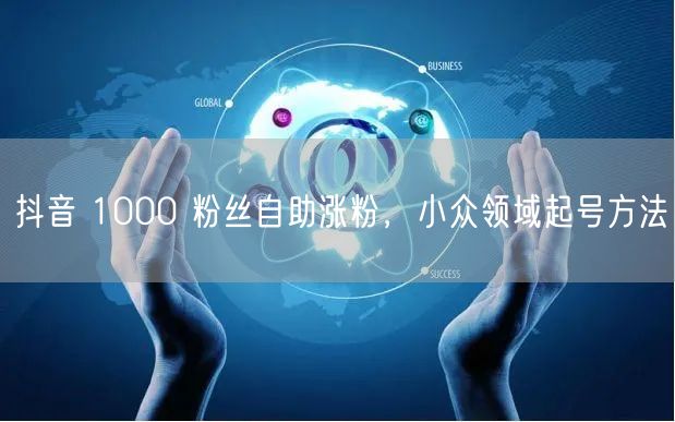 抖音 1000 粉丝自助涨粉，小众领域起