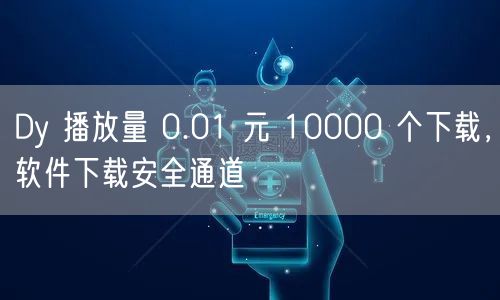 Dy 播放量 0.01 元 10000 