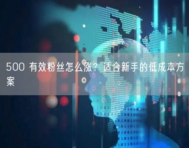 500 有效粉丝怎么涨？适合新手的低成本
