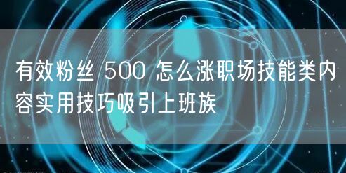 有效粉丝 500 怎么涨职场技能类内容实