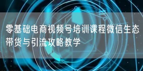 零基础电商视频号培训课程微信生态带货与引