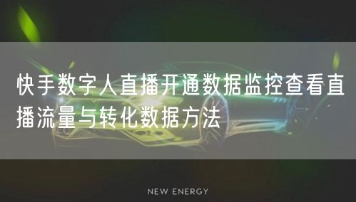 快手数字人直播开通数据监控查看直播流量与