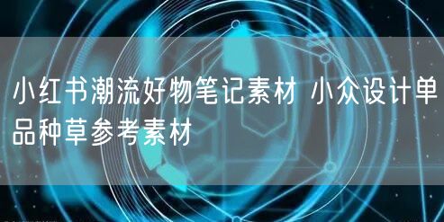 小红书潮流好物笔记素材 小众设计单品种草