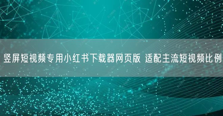 竖屏短视频专用小红书下载器网页版 适配主