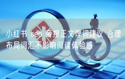 小红书 seo 帝搜正文埋词建议 合理布