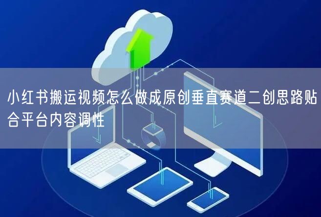 小红书搬运视频怎么做成原创垂直赛道二创思