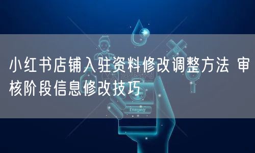 小红书店铺入驻资料修改调整方法 审核阶段