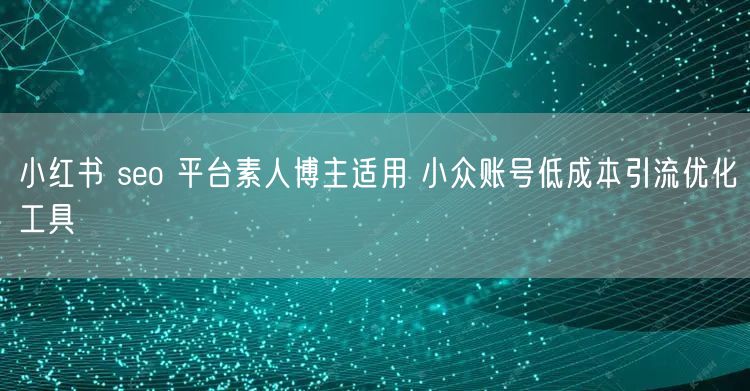 小红书 seo 平台素人博主适用 小众账
