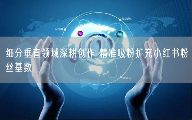细分垂直领域深耕创作 精准吸粉扩充小红书