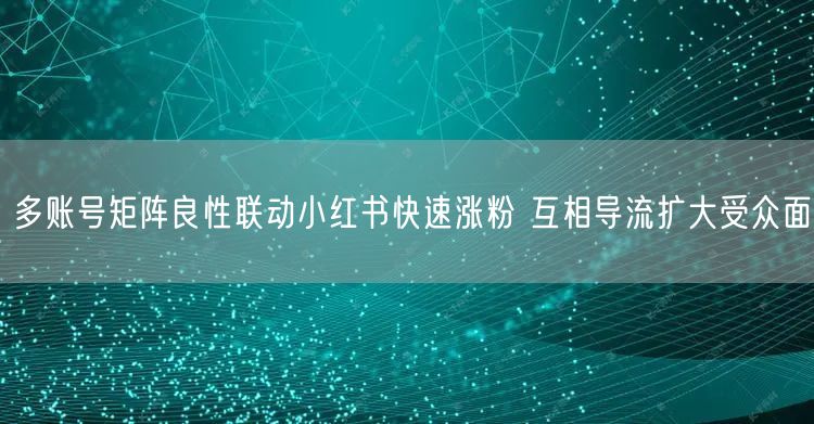 多账号矩阵良性联动小红书快速涨粉 互相导