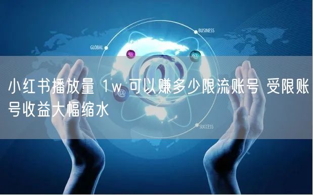小红书播放量 1w 可以赚多少限流账号 