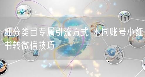 细分类目专属引流方式 不同账号小红书转微