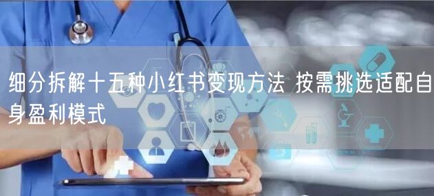 细分拆解十五种小红书变现方法 按需挑选适