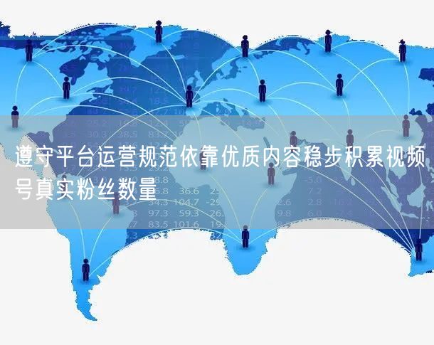 遵守平台运营规范依靠优质内容稳步积累视频
