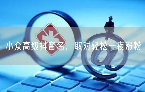 小众高级抖音名，取对轻松一夜涨粉