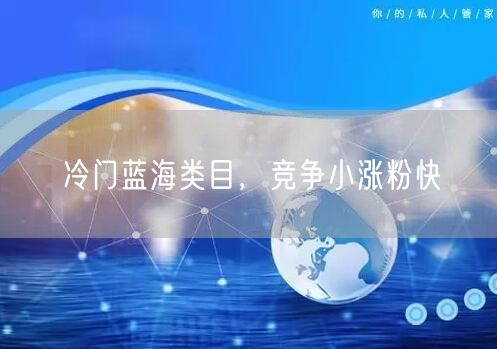 冷门蓝海类目,竞争小涨粉快
