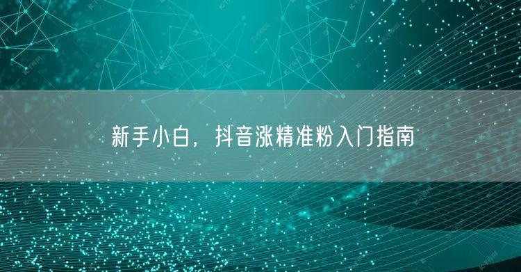 新手小白，抖音涨精准粉入门指南