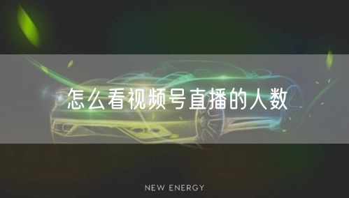 怎么看视频号直播的人数