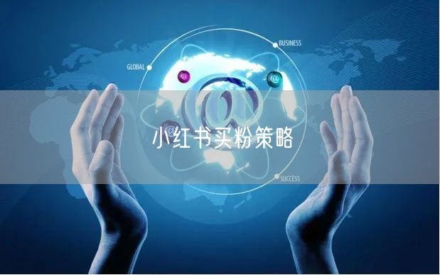 小红书买粉策略