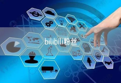 bilibili粉丝