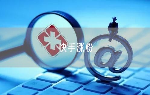 快手涨粉