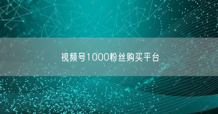 视频号1000粉丝购买平台