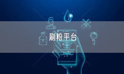 刷粉平台