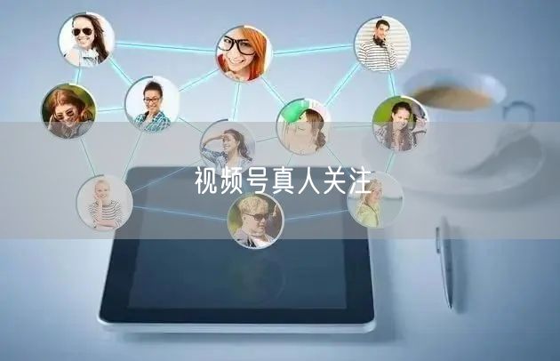 视频号真人关注
