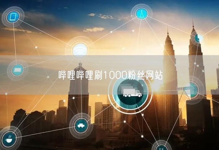 哔哩哔哩刷1000粉丝网站