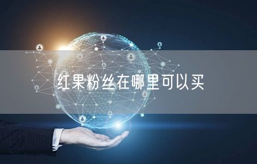 红果粉丝在哪里可以买