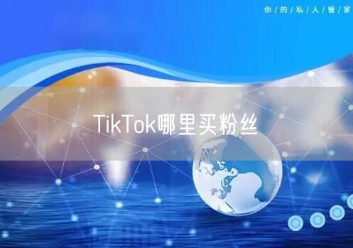 TikTok哪里买粉丝