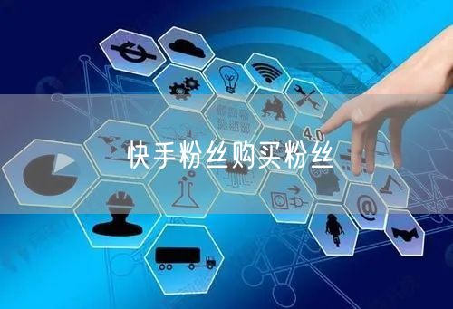 快手粉丝购买粉丝