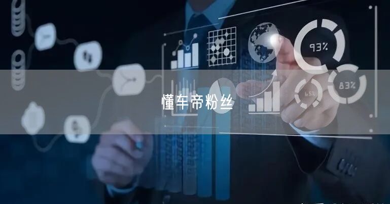懂车帝粉丝