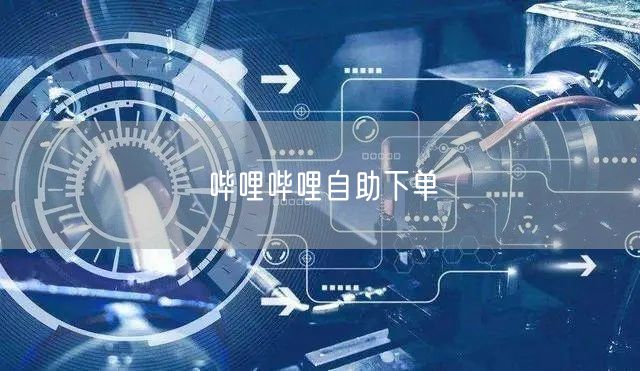 哔哩哔哩自助下单
