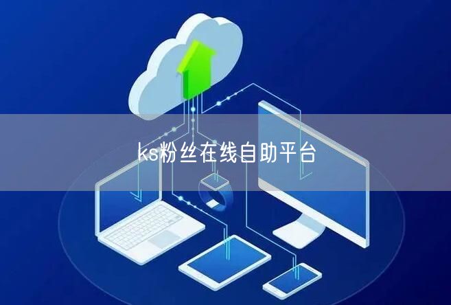ks粉丝在线自助平台