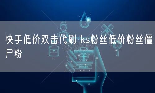 快手低价双击代刷 ks粉丝低价粉丝僵尸粉