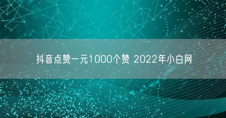 抖音点赞一元1000个赞 2022年小白网