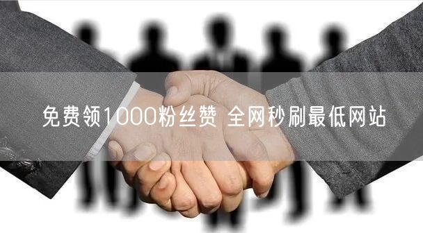 免费领1000粉丝赞 全网秒刷最低网站