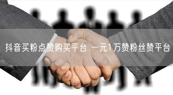 抖音买粉点赞购买平台 一元1万赞粉丝赞平台
