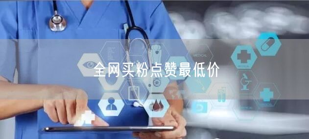 全网买粉点赞最低价